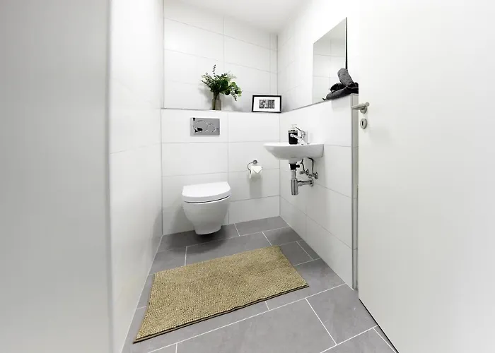 14 - Ohne Auto In Den Europa-park * Ringsheim