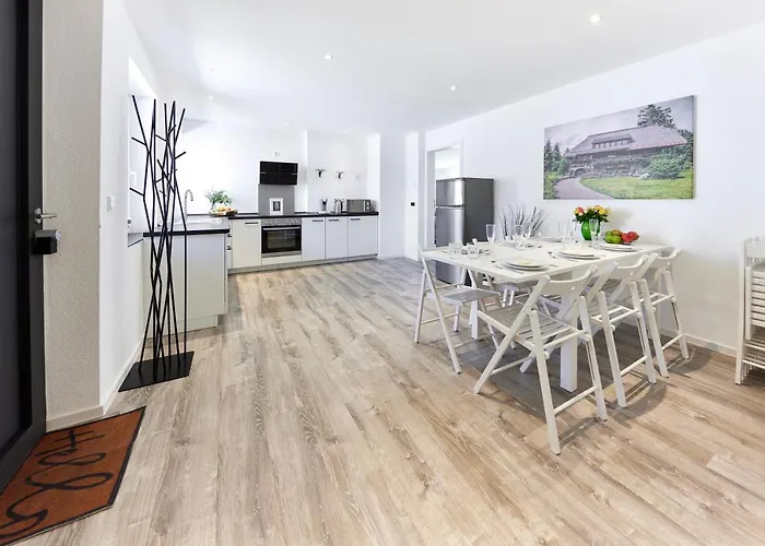 14 - Ohne Auto In Den Europa-park Ringsheim